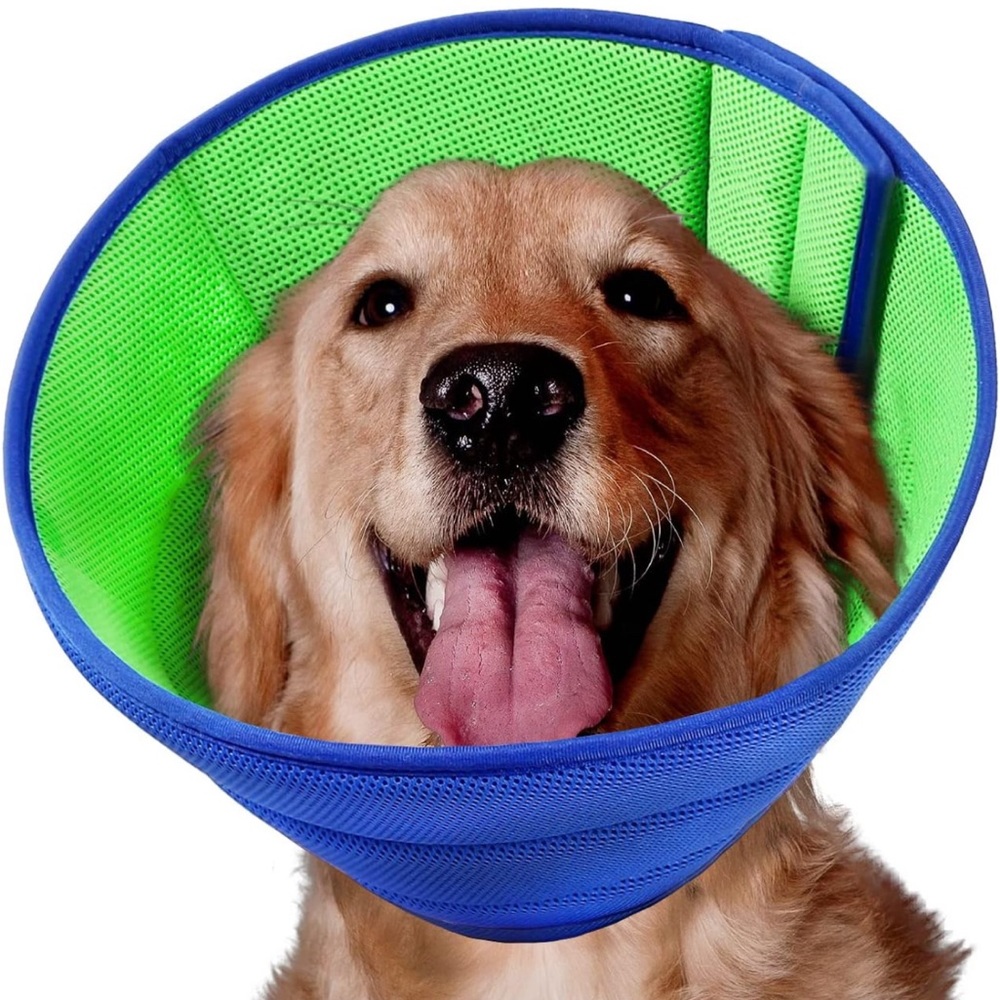 NWT Size 3 Mesh Dog Post-Op Surgery Cone/Collar